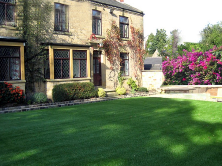 Fake Grass Washington Park, Florida Garden Ideas, Front Yard Design