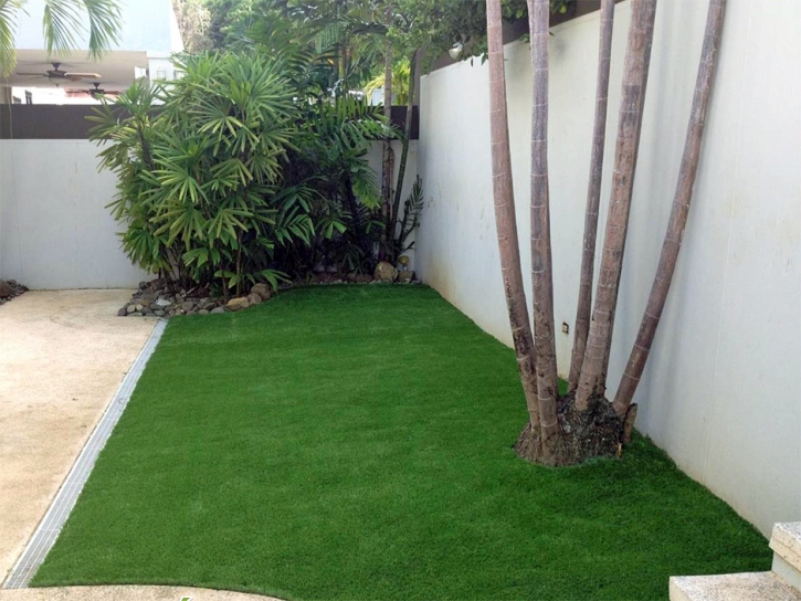 Fake Lawn Balm, Florida Landscape Rock, Backyard Makeover