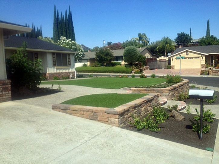 Fake Lawn Bay Harbor Islands, Florida Landscape Design, Landscaping Ideas For Front Yard