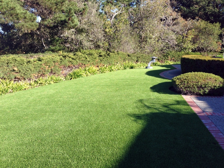 Fake Lawn Hobe Sound, Florida Landscaping Business, Small Front Yard Landscaping