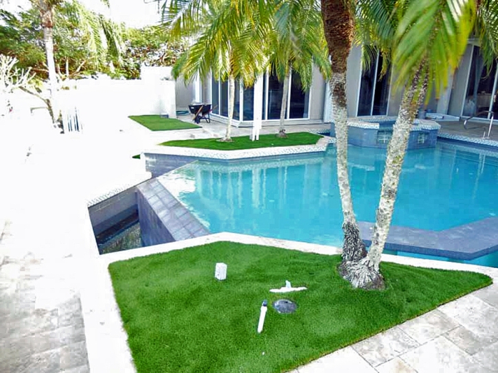 Fake Lawn Loxahatchee Groves, Florida Landscape Ideas, Backyard Landscaping