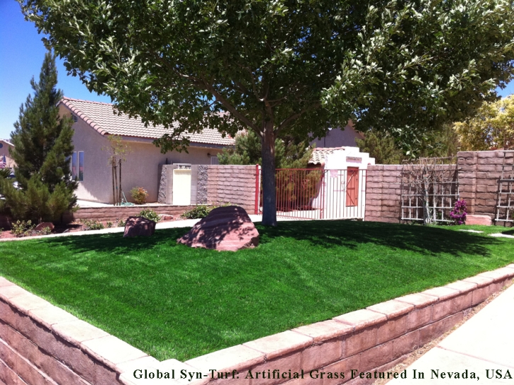 Fake Lawn Miami Springs, Florida Design Ideas, Landscaping Ideas For Front Yard