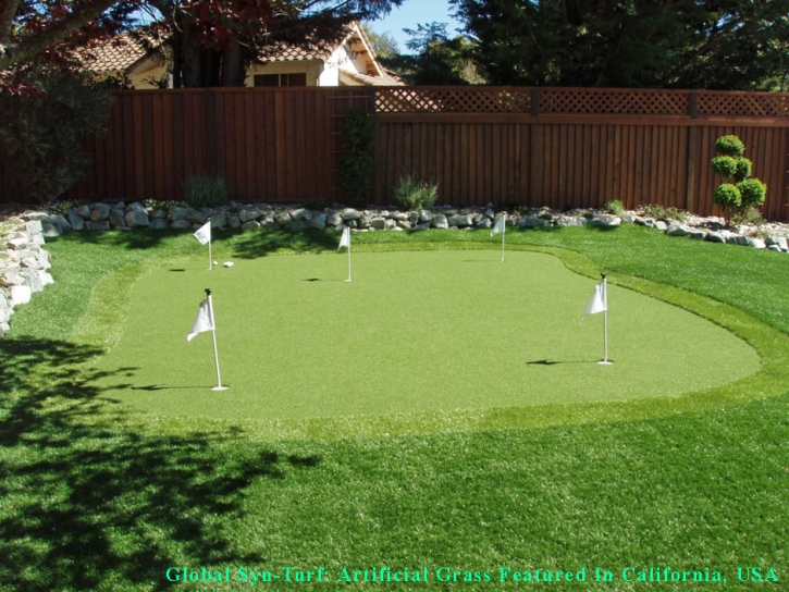 Fake Turf Coral Gables, Florida Diy Putting Green, Backyard