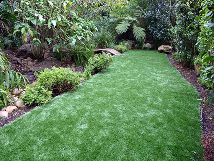 Fake Turf Gulf Gate Estates, Florida Roof Top, Backyard Ideas