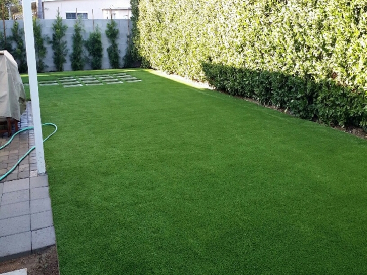 Fake Turf Highland City, Florida Rooftop, Backyard Makeover