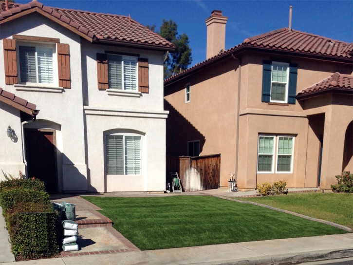 Fake Turf Islamorada, Florida Gardeners, Front Yard Design