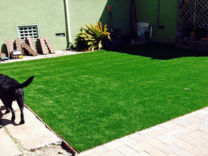 Fake Turf Lake Sarasota, Florida Rooftop, Backyard Design