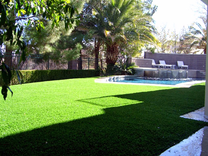 Fake Turf Lakes by the Bay, Florida Landscape Photos, Beautiful Backyards