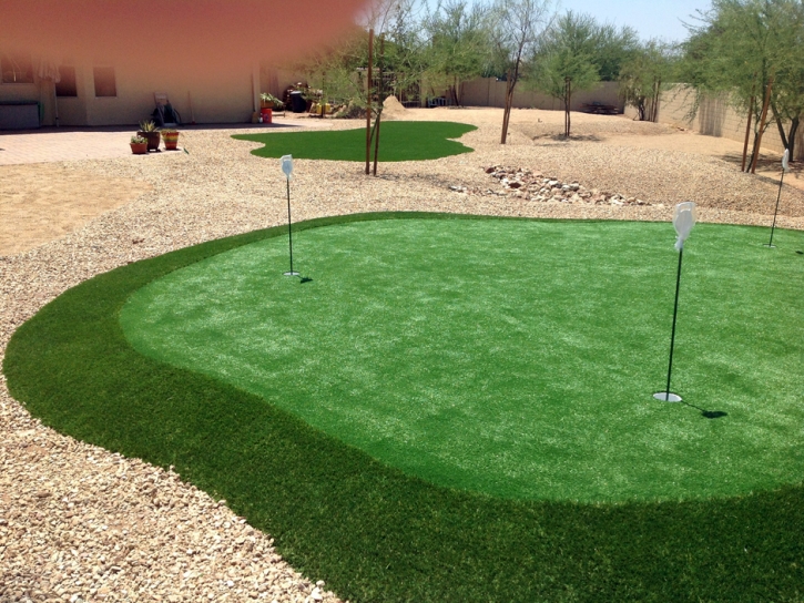 Fake Turf Loughman, Florida Indoor Putting Greens, Backyard Landscaping