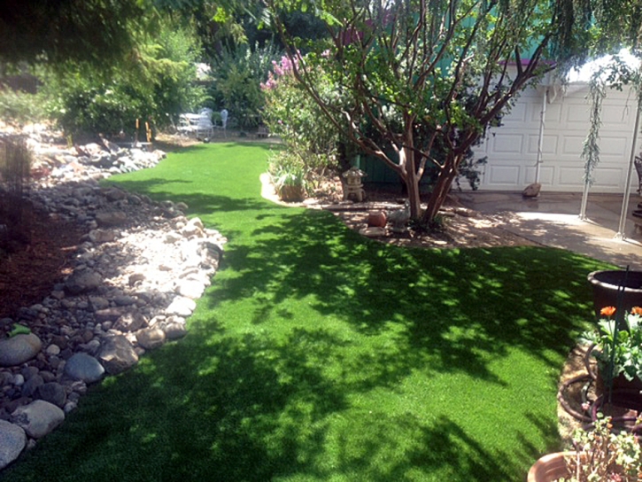 Fake Turf Olympia Heights, Florida Landscaping Business, Backyard Design