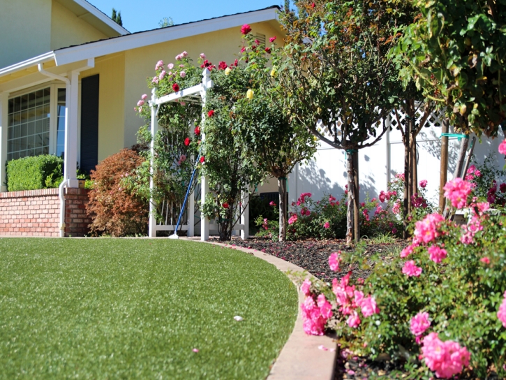 Fake Turf Whitfield, Florida Landscaping, Front Yard Design