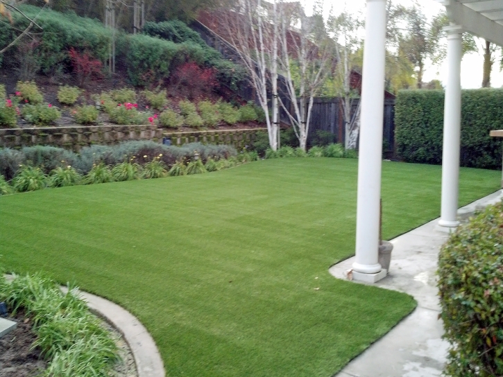 Faux Grass Cape Coral, Florida Gardeners, Backyard Designs