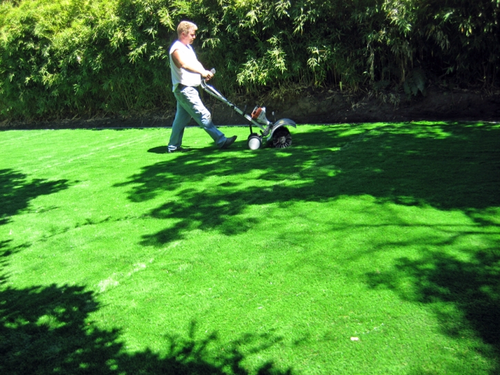 Faux Grass East Lake-Orient Park, Florida Design Ideas, Backyard Design