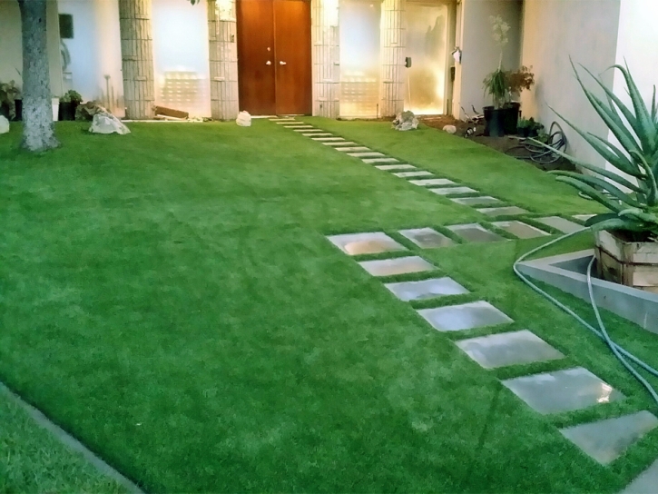 Faux Grass Jan-Phyl Village, Florida Design Ideas, Pavers