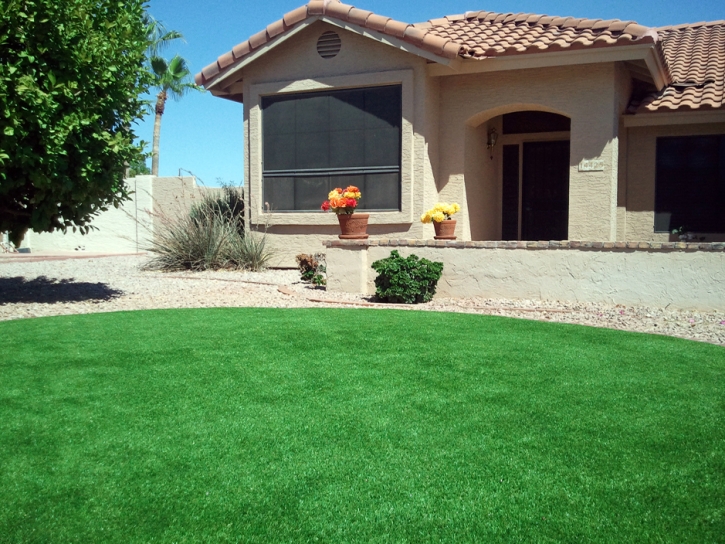 Faux Grass North Miami, Florida Landscaping, Front Yard Landscaping Ideas