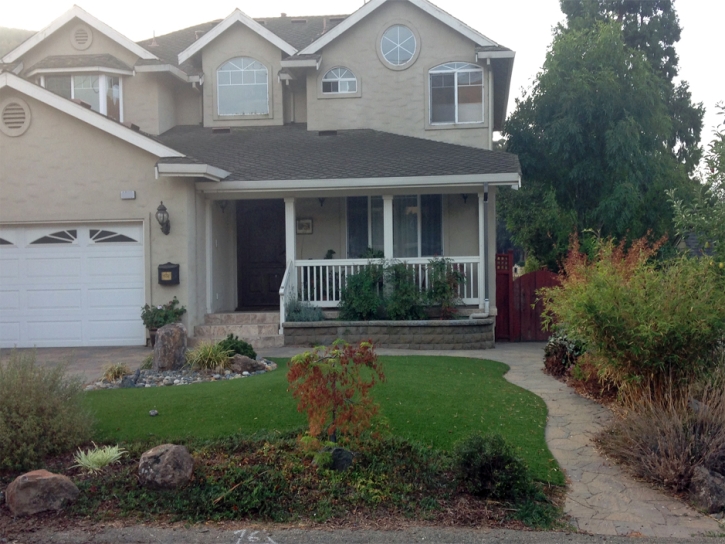 Faux Grass Palm Beach Gardens, Florida Lawns, Front Yard Ideas