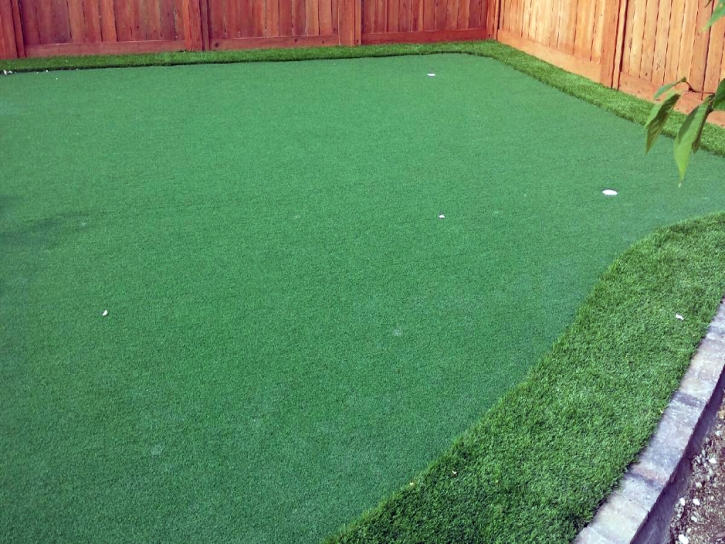 Faux Grass Rock Island, Florida Outdoor Putting Green, Backyard Designs