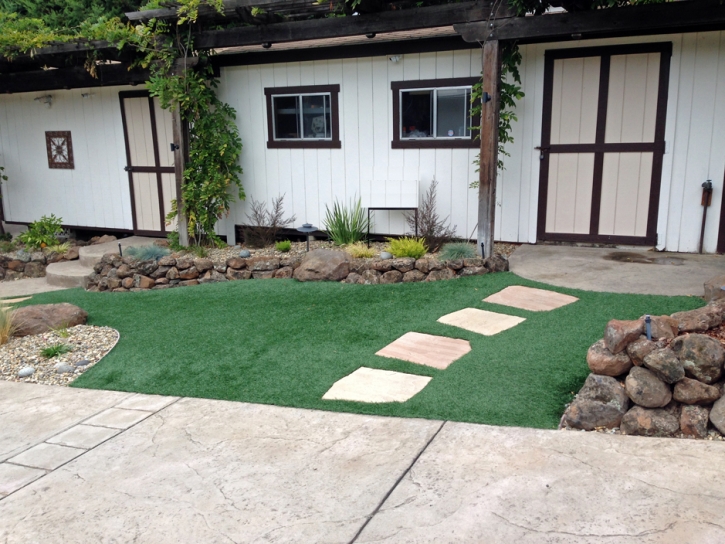 Grass Carpet Christmas, Florida Paver Patio, Front Yard Landscaping Ideas