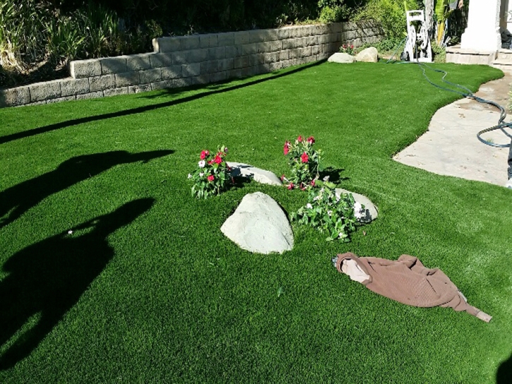 Grass Carpet Eagle Lake, Florida Landscape Rock, Small Front Yard Landscaping