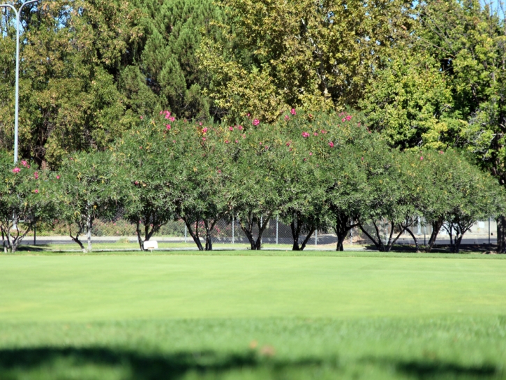 Grass Carpet Fuller Heights, Florida Putting Green