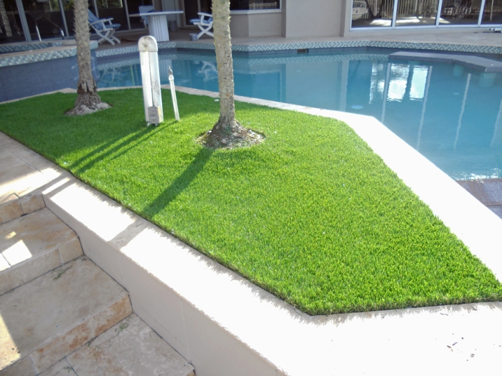 Grass Carpet Ives Estates, Florida Paver Patio, Backyard Makeover