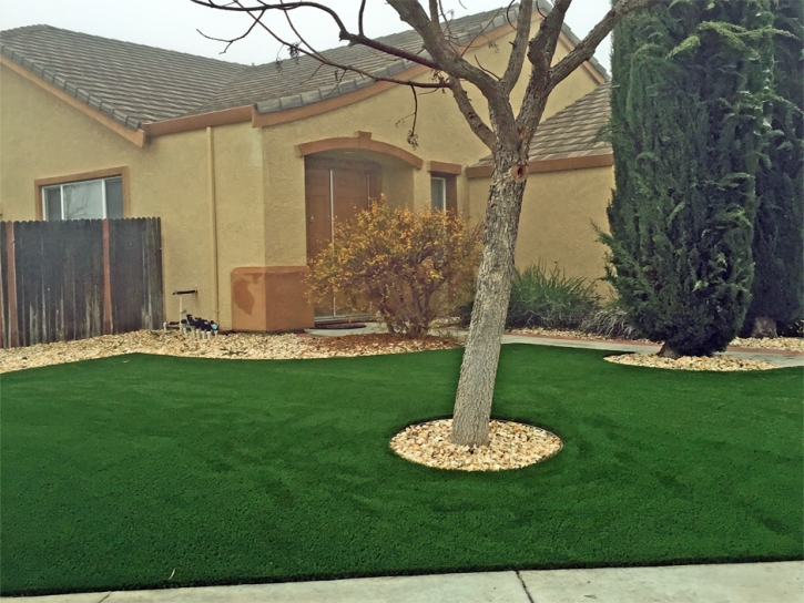 Grass Carpet Lochmoor Waterway Estates, Florida Landscape Ideas, Front Yard Landscaping Ideas