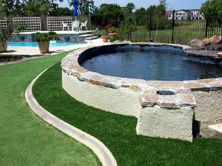 Grass Carpet Melbourne, Florida Landscape Ideas, Backyard Landscaping