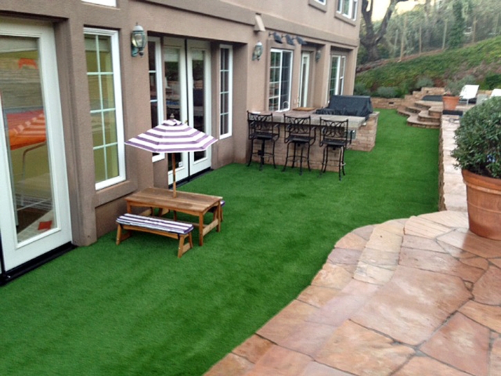 Grass Carpet Naples Park, Florida Backyard Playground, Backyard Landscaping Ideas