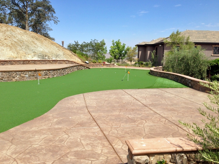 Grass Carpet Plant City, Florida Putting Greens, Backyard Landscaping