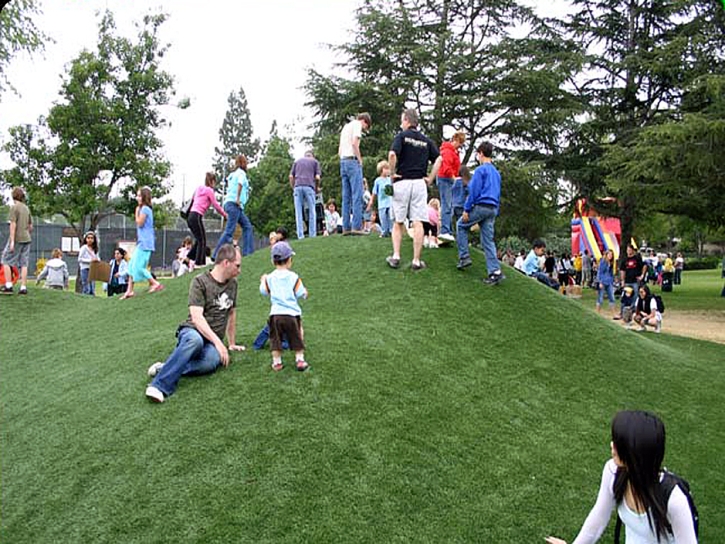 Grass Installation Bee Ridge, Florida Gardeners, Recreational Areas