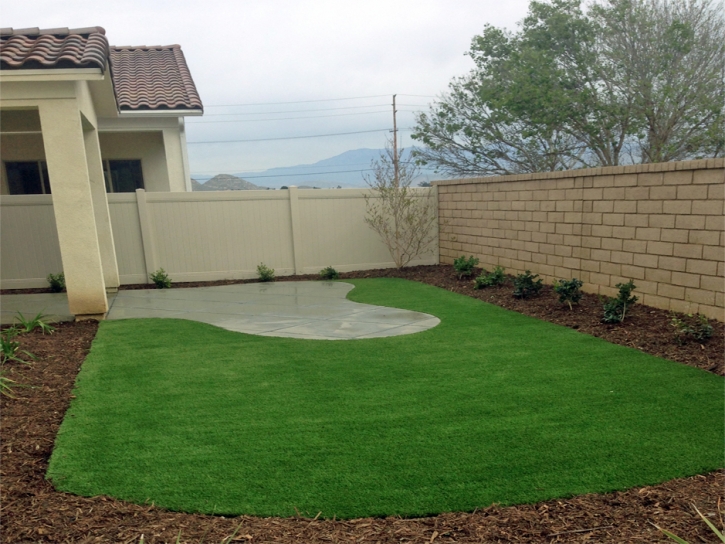 Grass Installation Olga, Florida Roof Top, Backyard Landscaping