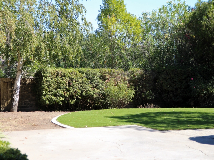 Grass Installation Samoset, Florida Backyard Playground, Backyard