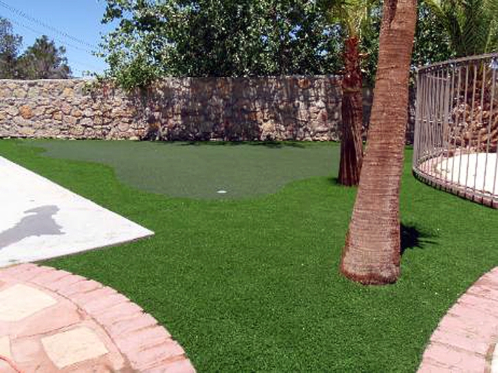 Grass Installation Waverly, Florida How To Build A Putting Green, Backyards