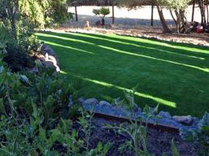 Grass Installation West Melbourne, Florida City Landscape, Backyard Designs