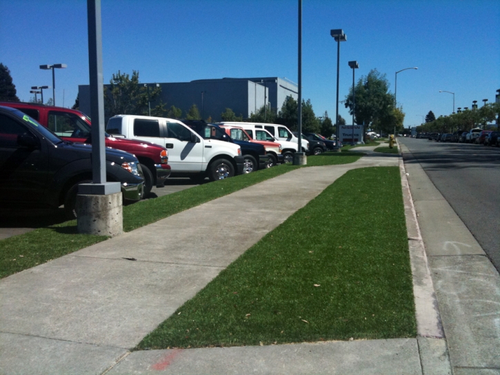 Grass Installation West Park, Florida City Landscape, Commercial Landscape