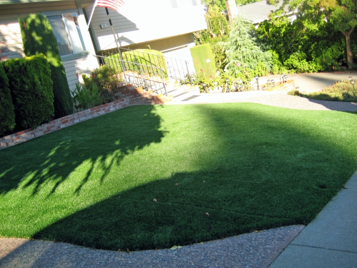 Grass Turf Bay Hill, Florida Rooftop, Front Yard