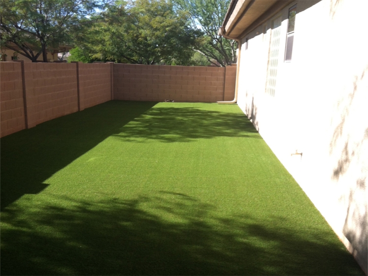 Grass Turf Oak Ridge, Florida Landscaping, Small Backyard Ideas