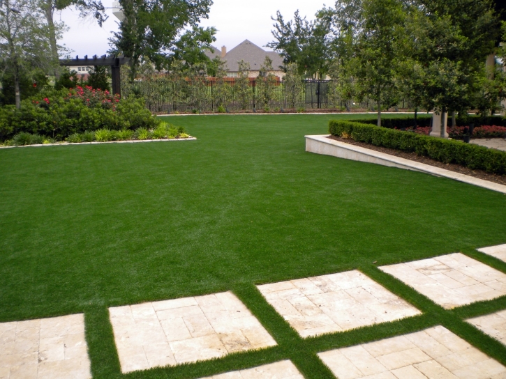 Grass Turf Tamiami, Florida Landscaping Business, Backyard Design