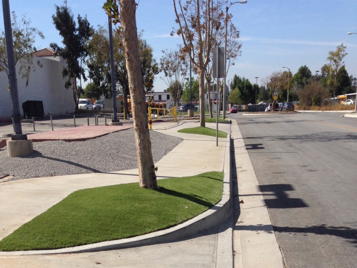 Grass Turf The Hammocks, Florida Design Ideas, Commercial Landscape