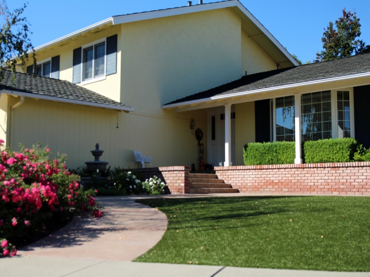 Grass Turf Wimauma, Florida Lawns, Front Yard Design