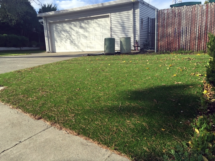 Green Lawn Big Pine Key, Florida Roof Top, Front Yard Ideas