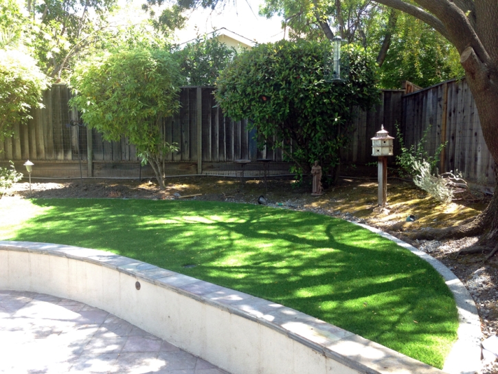 Green Lawn Coconut Grove, Florida Landscaping Business, Commercial Landscape