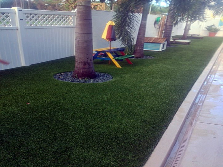 Green Lawn East Perrine, Florida Landscaping, Backyard Design