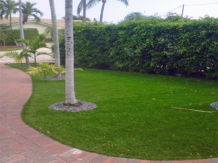 Green Lawn Key Colony Beach, Florida Lawns, Small Front Yard Landscaping