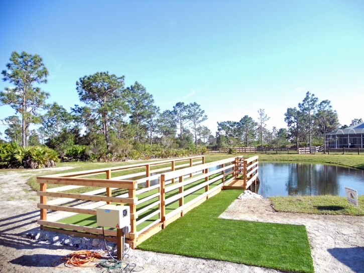 Green Lawn McGregor, Florida City Landscape, Beautiful Backyards