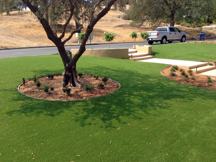 Green Lawn Nocatee, Florida Rooftop, Front Yard