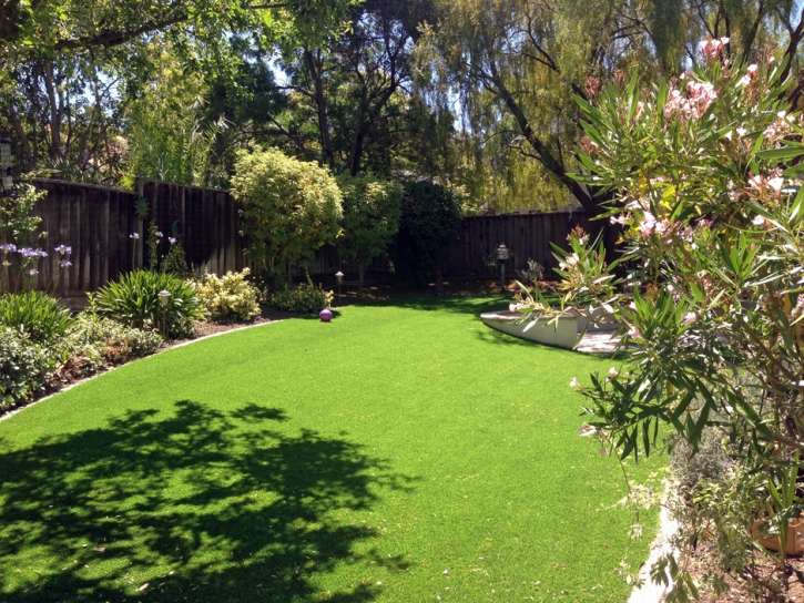 Green Lawn Washington Park, Florida Landscape Photos, Backyard