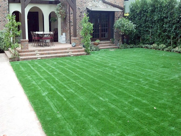 How To Install Artificial Grass Canal Point, Florida Backyard Playground, Front Yard Ideas