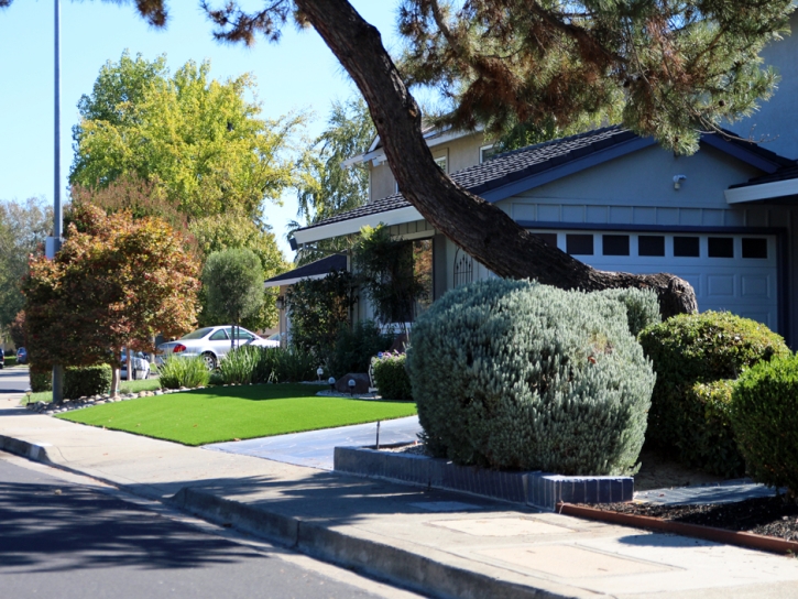 How To Install Artificial Grass Willow Oak, Florida Rooftop, Front Yard Ideas