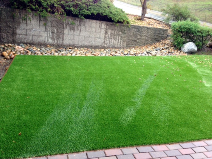 Installing Artificial Grass Melrose Park, Florida Lawn And Garden, Front Yard Ideas